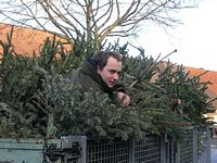 Weihnachtsbaum-Sammlung 2011