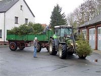 Weihnachtsbaum-Sammlung 2012