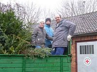 Weihnachtsbaum-Sammlung 2012