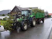 Weihnachtsbaum-Sammlung 2012