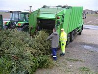 Weihnachtsbaum-Sammlung 2012