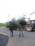 Weihnachtsbaum-Sammlung 2015