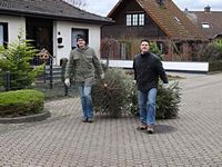 Weihnachtsbaum-Sammlung 2015