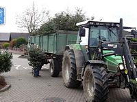 Weihnachtsbaum-Sammlung 2015