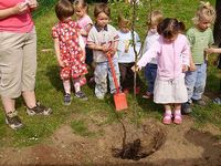 Pflanzaktion im Kindergarten