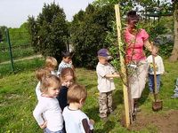 Pflanzaktion im Kindergarten