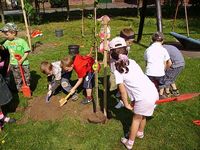 Pflanzaktion im Kindergarten