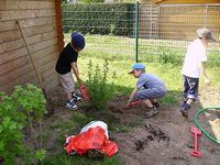 Pflanzaktion im Kindergarten