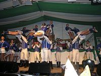 Kostümsitzung 2009