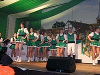 Kostümsitzung 2010