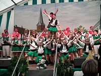 Kostümsitzung 2011