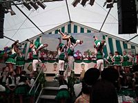Kostümsitzung 2011