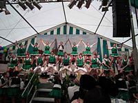 Kostümsitzung 2011