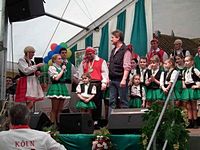 Kostümsitzung 2011