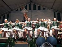 Kostümsitzung 2011
