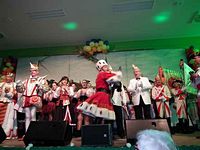 Kostümsitzung 2014