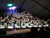 Jubiläums-Sessionssitzung 15/16