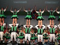 Kostümsitzung 2016