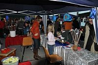 Laternenausstellung 2009