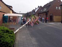 Maibaum 2004 der Elisabethstraße