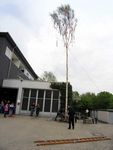 Maibaum 2004 der Feuerwehr