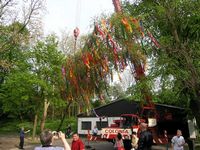 Maibaum 2005 der Jungschützen