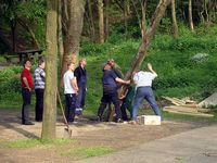 Maibaum 2005 der Jungschützen