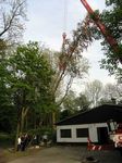 Maibaum 2005 der Jungschützen