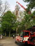 Maibaum 2005 der Jungschützen