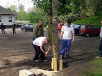 Maibaum 2005 der Jungschützen