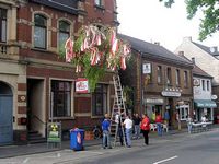 Maibaum 2005 des FC-Fan-Clubs