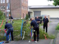 Maibaum 2005 der Feuerwehr