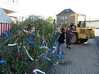 Maibaum 2007 der Feuerwehr