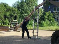 Maibaum 2007 der Feuerwehr