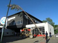 Maibaum 2007 der Feuerwehr