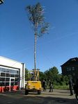 Maibaum 2007 der Feuerwehr