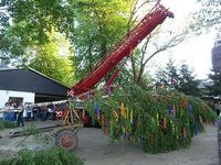 Maibaum 2007 der Jungschützen