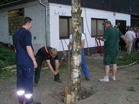 Maibaum 2007 der Jungschützen