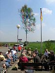 Maibaum der Lutherstraße