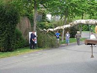 Maibaum der Feuerwehr