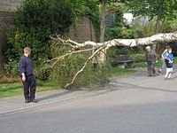 Maibaum der Feuerwehr