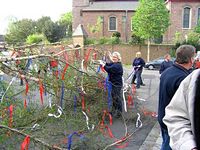 Maibaum der Feuerwehr