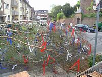 Maibaum der Feuerwehr