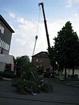 Maibaum der Feuerwehr