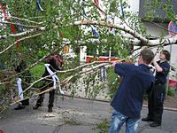 Maibaum der Feuerwehr