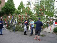 Maibaum der Feuerwehr