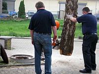 Maibaum der Feuerwehr