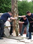 Maibaum der Feuerwehr