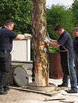 Maibaum der Feuerwehr