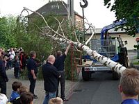 Maibaum der Feuerwehr